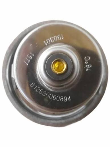 Термостат WP5NG, WP10 612630060894